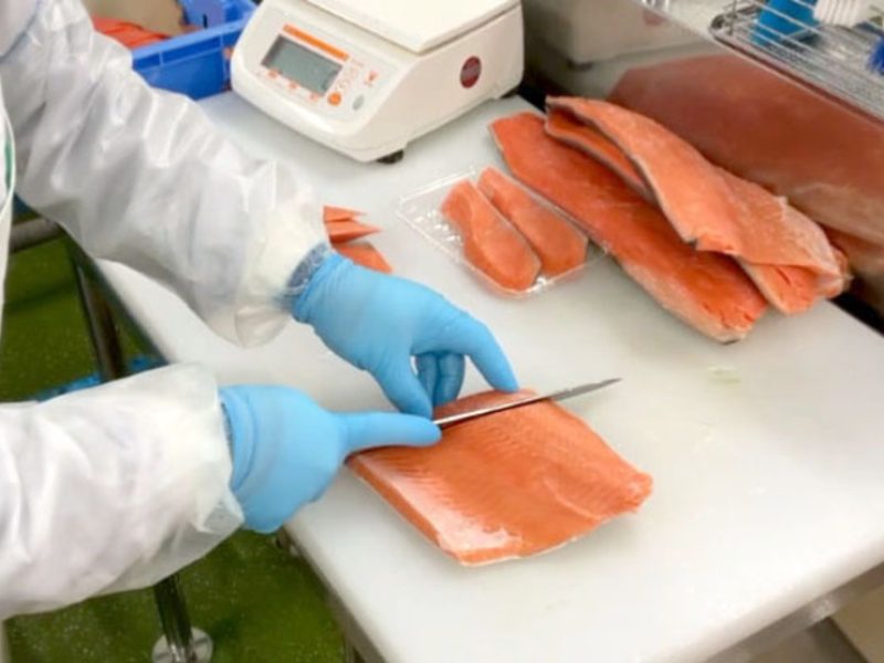 fish-5