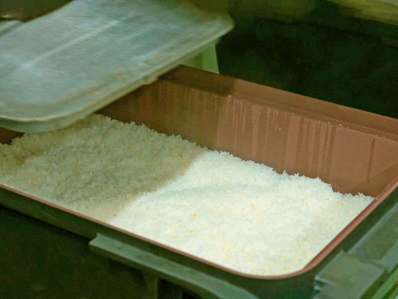 rice-7